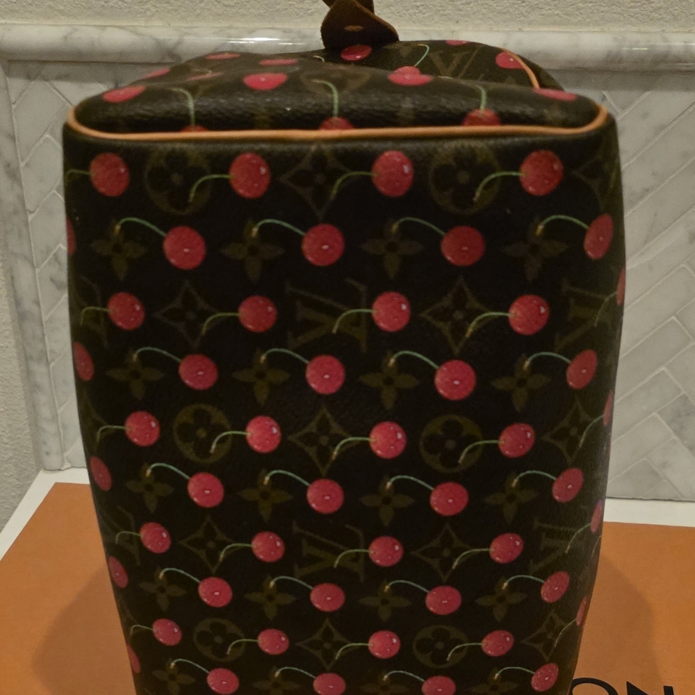 Louis Vuitton Takashi Murakami Cherry🍒🍒🍒 Speedy25 - Picture 7 of 15